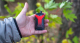 Миниатюра изображения товара Электронный парогенератор Vaporesso Xiron 50W Pod 1500mAh (5.5мл, красный)