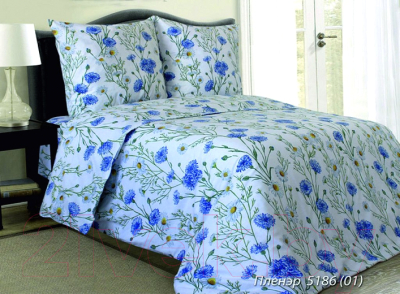 

Комплект постельного белья Магия Сна, Пленэр 518601 Евро