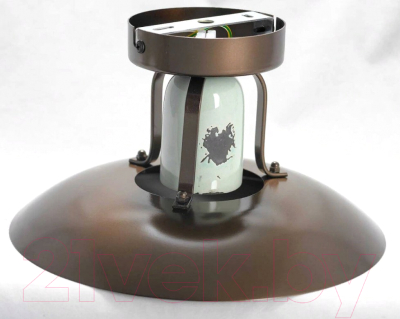 Потолочный светильник Lussole Loft Vermilion GRLSP-8162