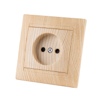 

Розетка TDM, Лама SQ1815-0310