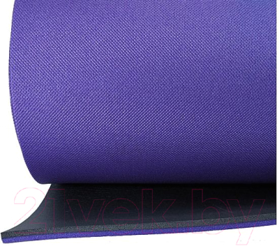 Туристический коврик Isolon Sport 10 (фиолетовый/черный)