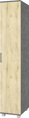 Шкаф-пенал Modern Ева Е11 (камень темный/ирландский дуб)