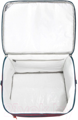 Термосумка Tatonka Cooler Bag L / 2915.220 (черный)