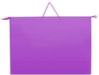 

Папка-портфель Оникс, ПР 3-8