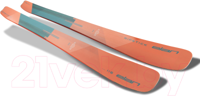 Горные лыжи Elan 2020-21 Ripstick 116 / ADAGCX20 (р.185)