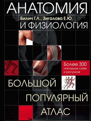 Книга Эксмо Анатомия и физиология. Большой популярный атлас (Билич Г.Л., Зигалова Е.)