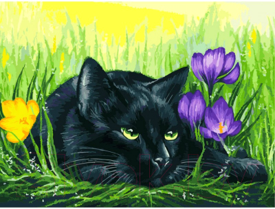 

Картина по номерам БЕЛОСНЕЖКА, Кот и крокусы / 3113-CS