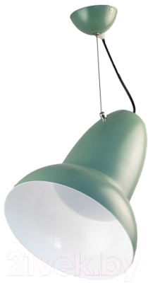 Потолочный светильник Aitin-Pro 6207 (зеленый/белый)