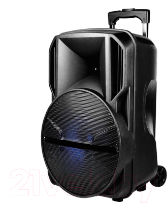 Изображение товара Портативная колонка Platinet PMG230