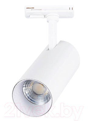 

Трековый светильник ST Luce, Mono ST350.546.20.36