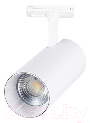 

Трековый светильник ST Luce, Mono ST350.546.30.36