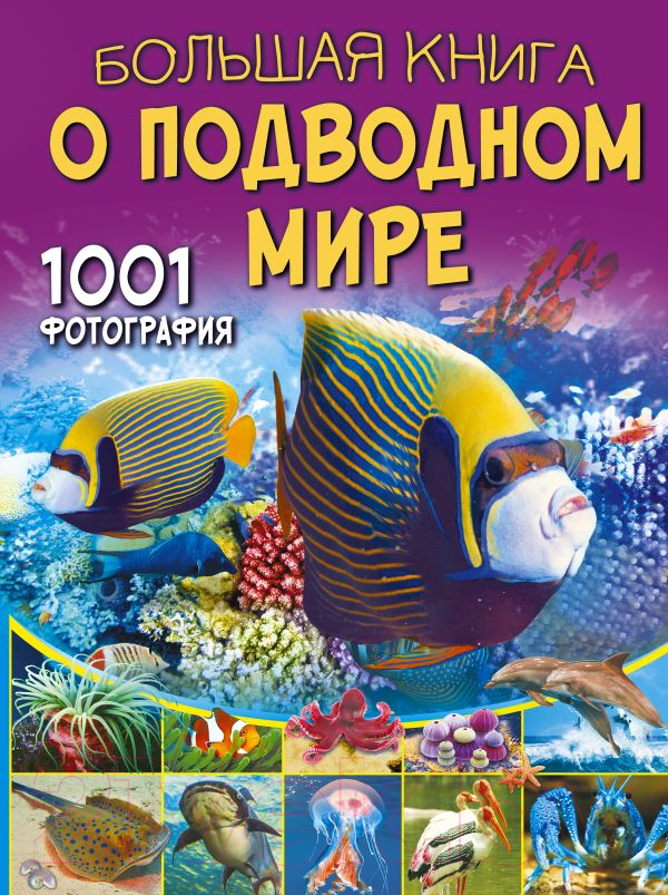 Энциклопедия АСТ Большая книга о подводном мире
