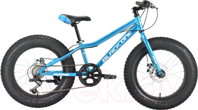 Детский велосипед Black One Monster 20 D 2021 (синий/серебристый)