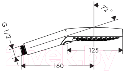 Лейка ручного душа Hansgrohe Raindance Select S 120 26014000