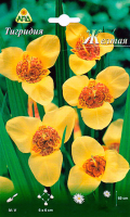 Семена цветов АПД Тигридия Желтая / A30679 (10шт) - 