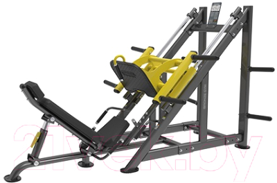Изображение товара Силовой тренажер Bronze Gym PL-1717