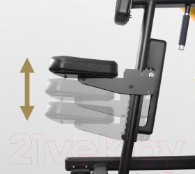 Изображение товара Силовой тренажер Bronze Gym PL-1702