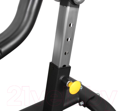 Изображение товара Скамья для пресса Bronze Gym BR-1005