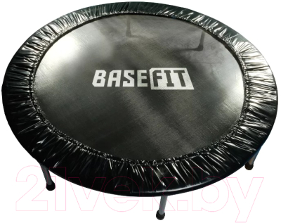 Батут BaseFit TR-101 (137см, черный)