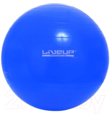 

Фитбол гладкий Toys, LS3221-65