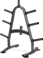 

Стойка для дисков Bronze Gym, BR-1022