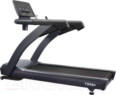 

Электрическая беговая дорожка Bronze Gym, T910M