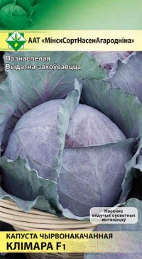 

Семена МинскСортСемОвощ, Капуста краснокочанная. Климаро F1