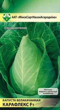 

Семена МинскСортСемОвощ, Капуста белокочанная. Карафлекс F1