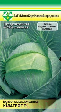 

Семена МинскСортСемОвощ, Капуста белокочанная. Килагрег F1