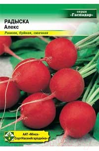 

Семена МинскСортСемОвощ, Редис. Алекс