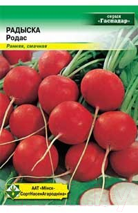 

Семена МинскСортСемОвощ, Редис. Родос