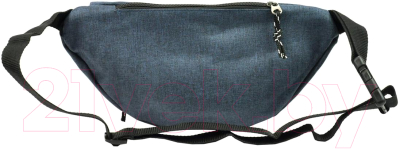 Сумка на пояс Cedar Rovicky BAG-WB-01-3972 (Navy)