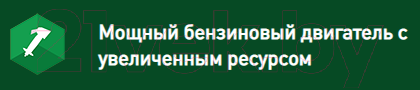 Бензокоса Oasis TB-190S