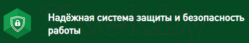 Бензокоса Oasis TB-190S