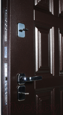 Входная дверь Промет Винтер-100 дуб Шале мореный (88x206, левая)