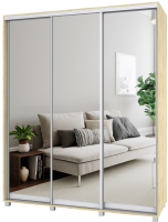 

Шкаф-купе Modern, Роланд Р48 + Р38