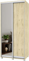

Шкаф Modern, Роланд Р40 + Р20