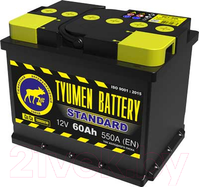Автомобильный аккумулятор Tyumen Battery Standard R+ / 6СТ-60оп ST (60 А/ч)