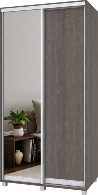 

Шкаф Modern, Роланд Р61 + Р21
