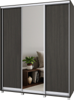 

Шкаф-купе Modern, Роланд Р48 + Р28