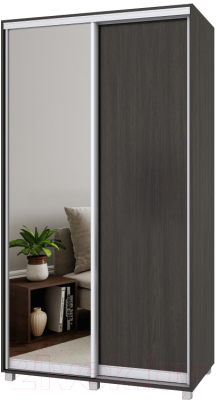 

Шкаф Modern, Роланд Р42 + Р22
