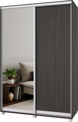 

Шкаф Modern, Роланд Р65 + Р25