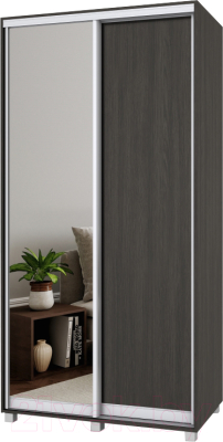

Шкаф Modern, Роланд Р61 + Р21