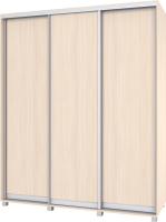 

Шкаф Modern, Роланд Р48 + Р18