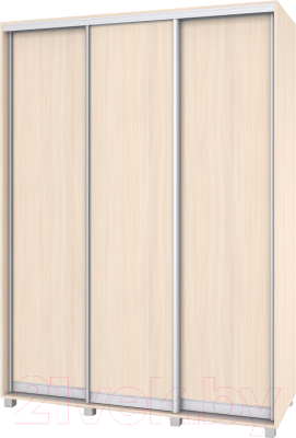

Шкаф Modern, Роланд Р66 + Р16