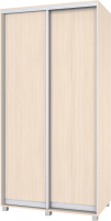 

Шкаф Modern, Роланд Р61 + Р11