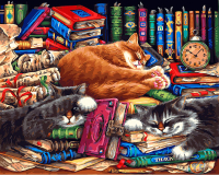 Картина по номерам БЕЛОСНЕЖКА Библиотека кошек / 275-AB - 