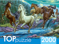 

Пазл РЫЖИЙ КОТ, Ночной табун лошадей / ХТП2000-1594