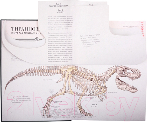 Книжка-панорамка МИФ Тираннозавр рекс. Интерактивная книга-панорама (Дугал Диксон)