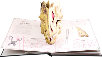 Книжка-панорамка МИФ Тираннозавр рекс. Интерактивная книга-панорама (Дугал Диксон)
